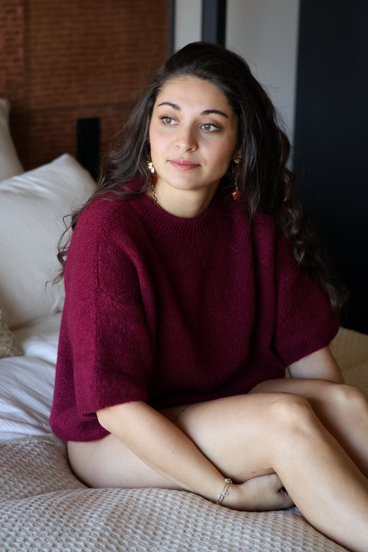 Pull PARIS bordeaux
